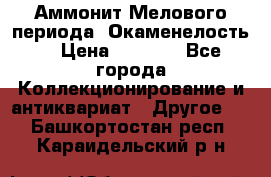 Аммонит Мелового периода. Окаменелость. › Цена ­ 2 800 - Все города Коллекционирование и антиквариат » Другое   . Башкортостан респ.,Караидельский р-н